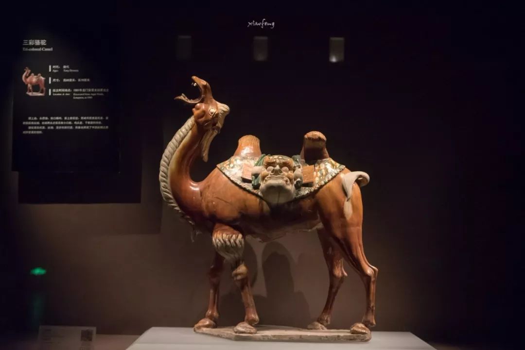 深度揭秘！洛阳人的家门口竟然藏着这么多宝藏！还有5大稀世珍品！没去过太遗憾了！