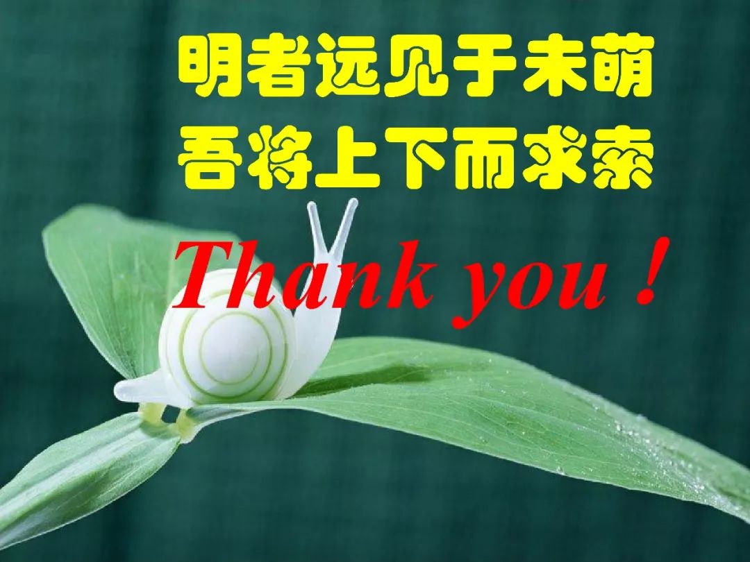 明者远见于未萌原文,明者远见于未萌解释