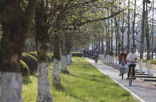 “重马”来啦！在沙坪坝的春天里应这样度过