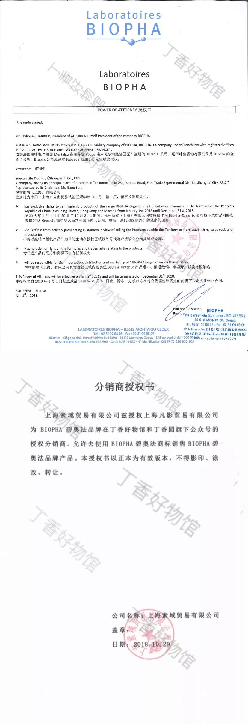 你不是长得不好看而是发型没选对,颜值不够头发来凑