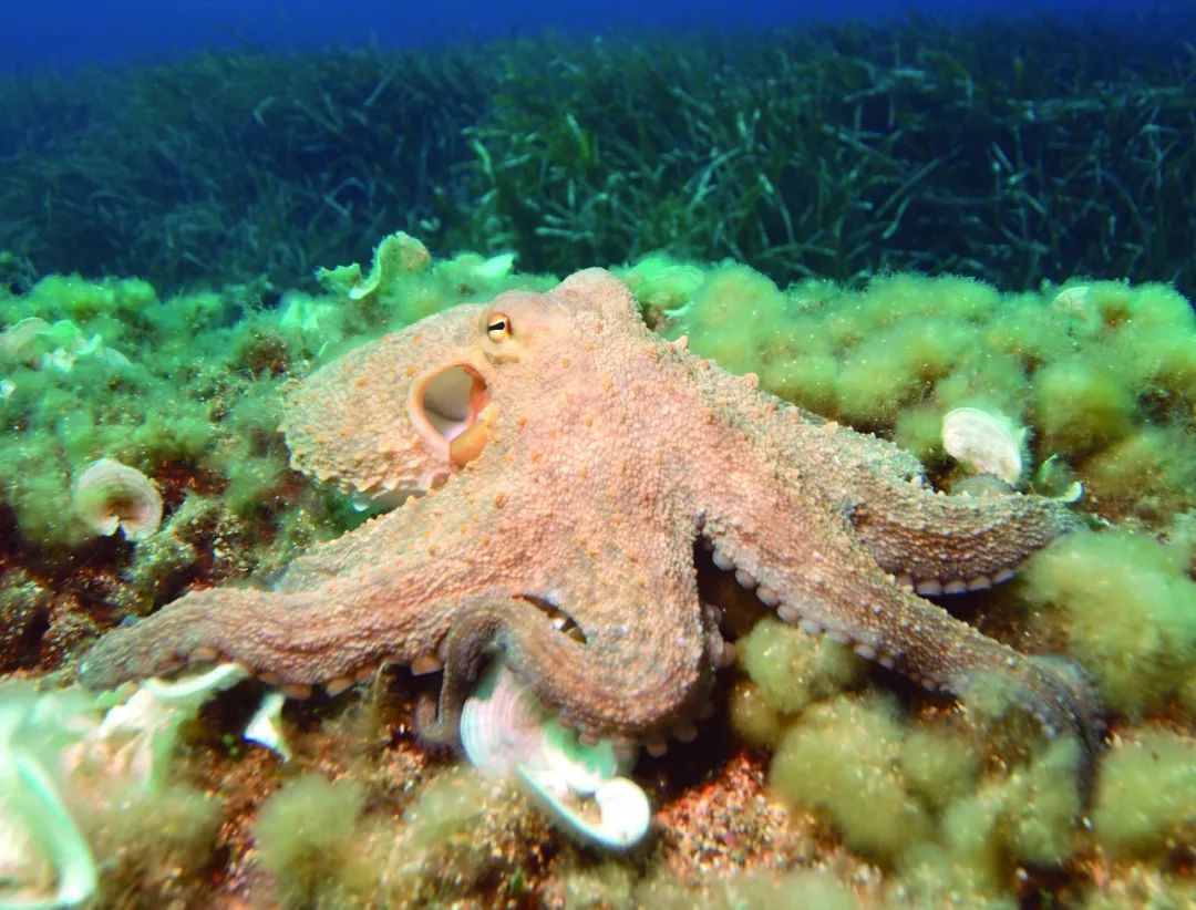 上色彩课突然发现自己是色盲,变色大师