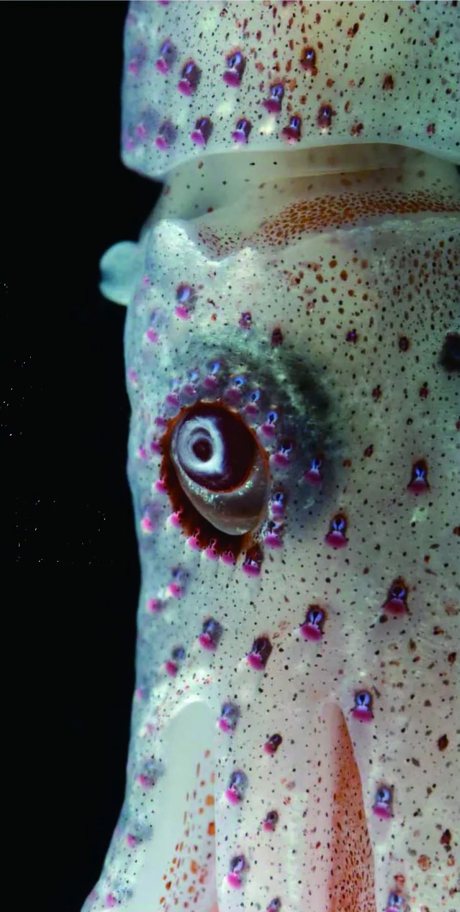 上色彩课突然发现自己是色盲,变色大师