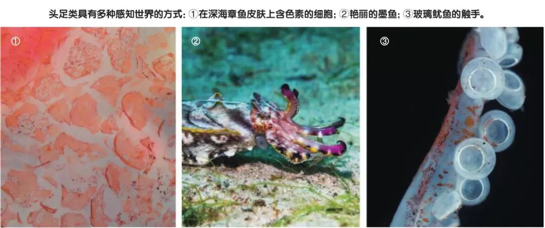 上色彩课突然发现自己是色盲,变色大师