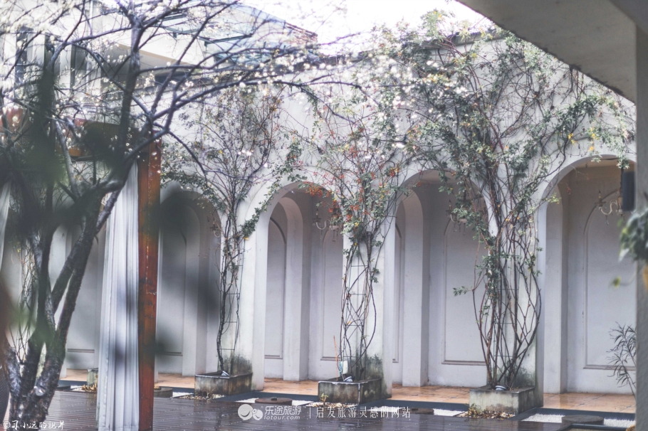 这个藏于梅花深处的山庄，让你抛却繁杂静享浮光