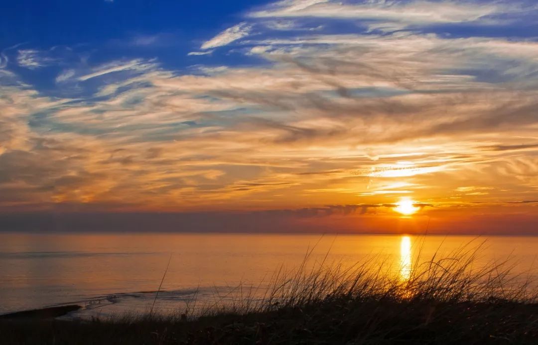 企业文化大家谈｜13名中化人畅谈“我在中化这些年”