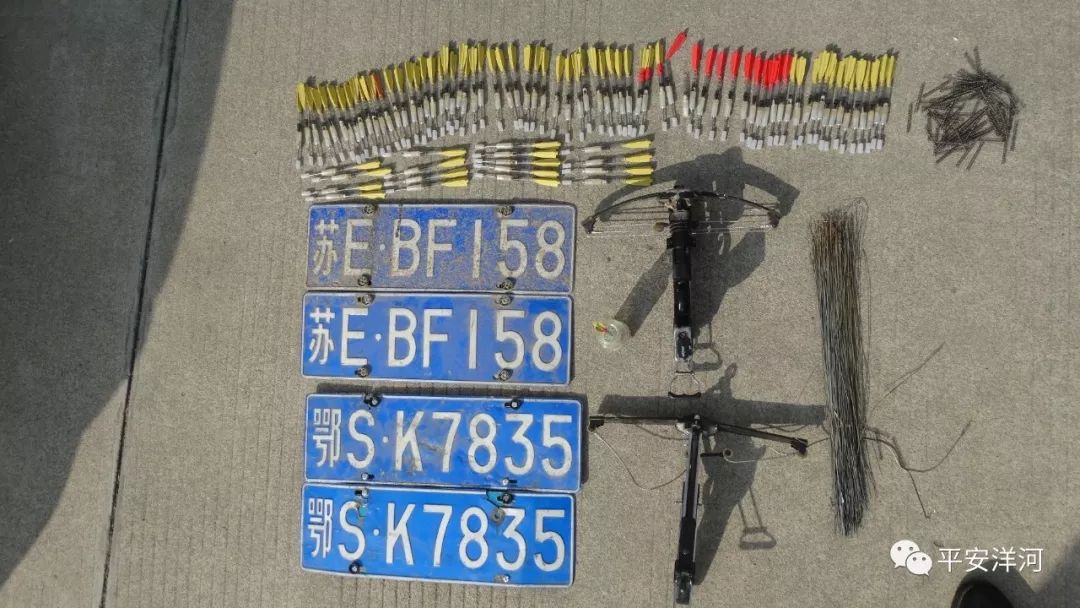 破获捕杀犬案件,洋河杀人命案