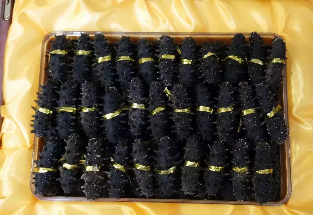 河源人能不能开车去香港,河源人一个人能去几次香港