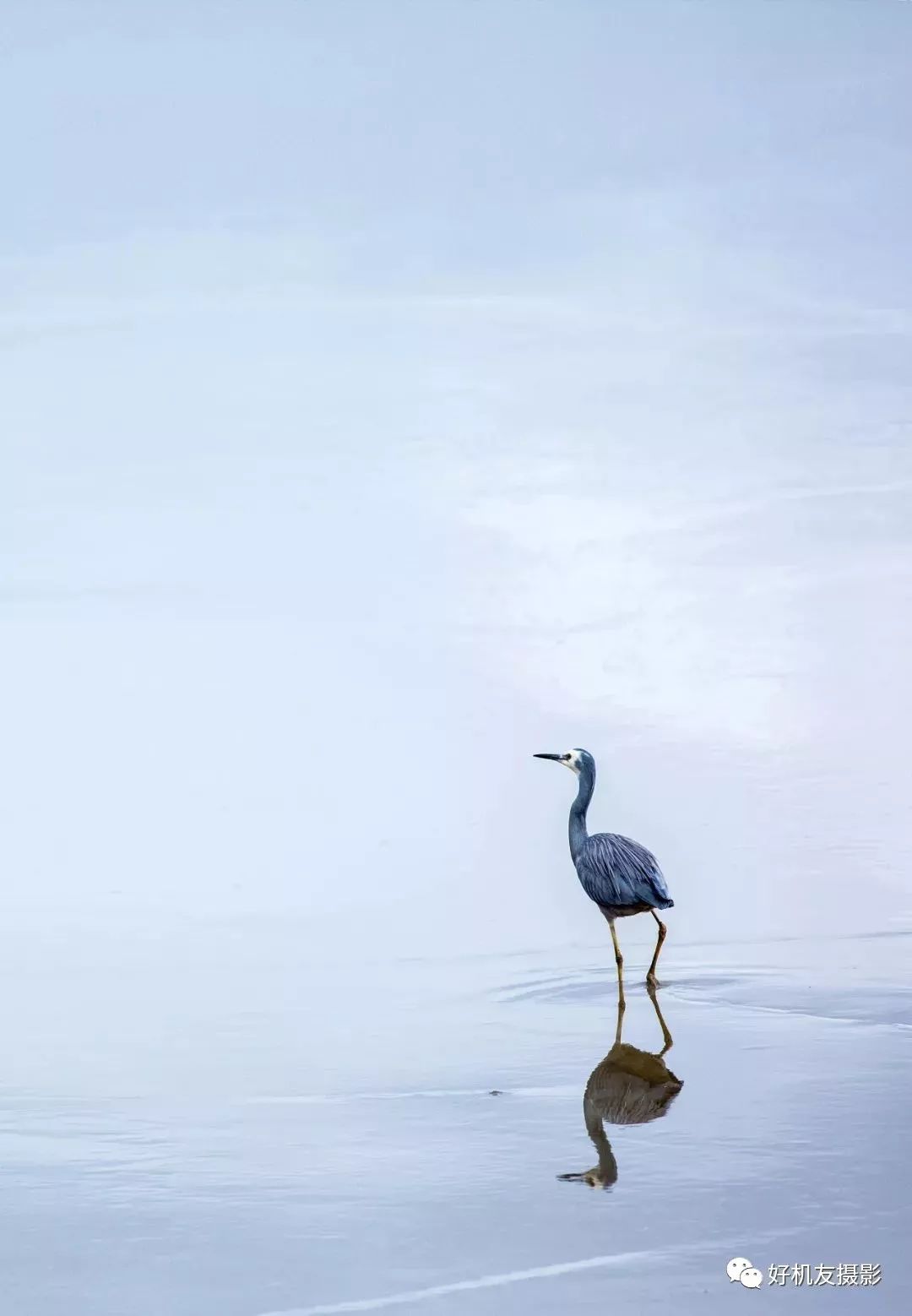 摄影中的意境是什么意思,摄影中的美学有哪些