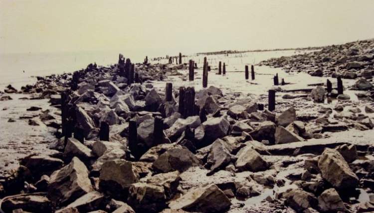 没和崇明岛上的这块“大石头”合过影，别说你到过崇明~