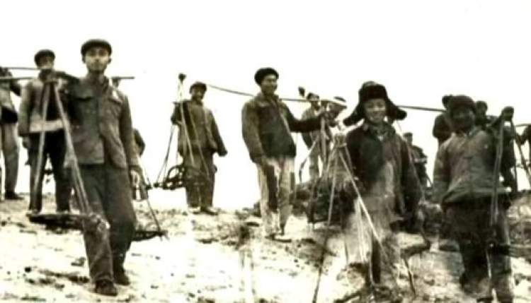 没和崇明岛上的这块“大石头”合过影，别说你到过崇明~