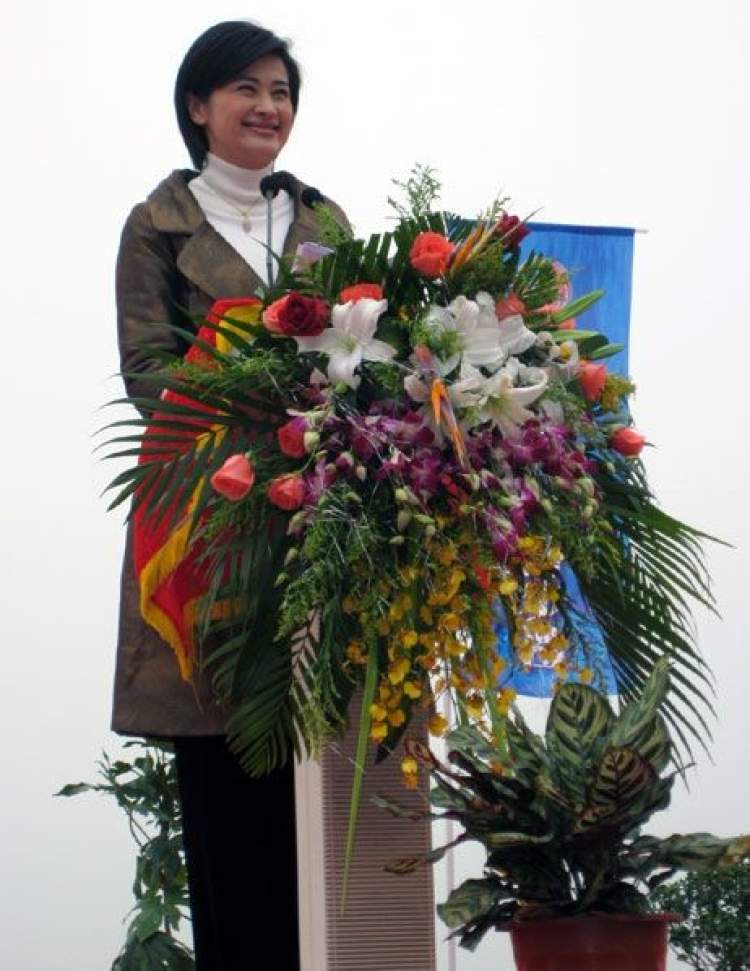 没和崇明岛上的这块“大石头”合过影，别说你到过崇明~