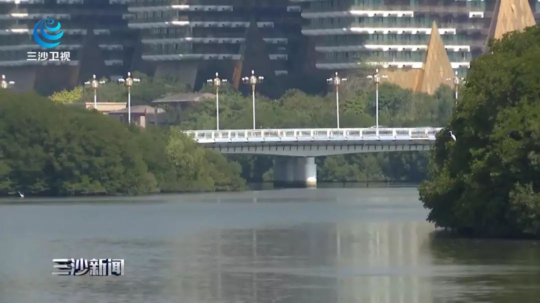 天涯印象创作的原声,天涯印象的主页