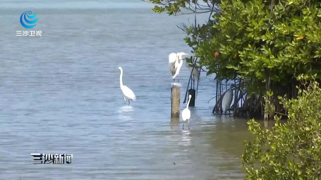 天涯印象创作的原声,天涯印象的主页