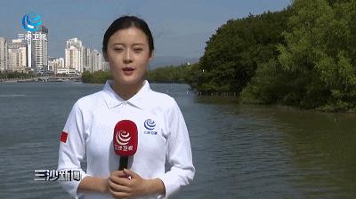 天涯印象创作的原声,天涯印象的主页