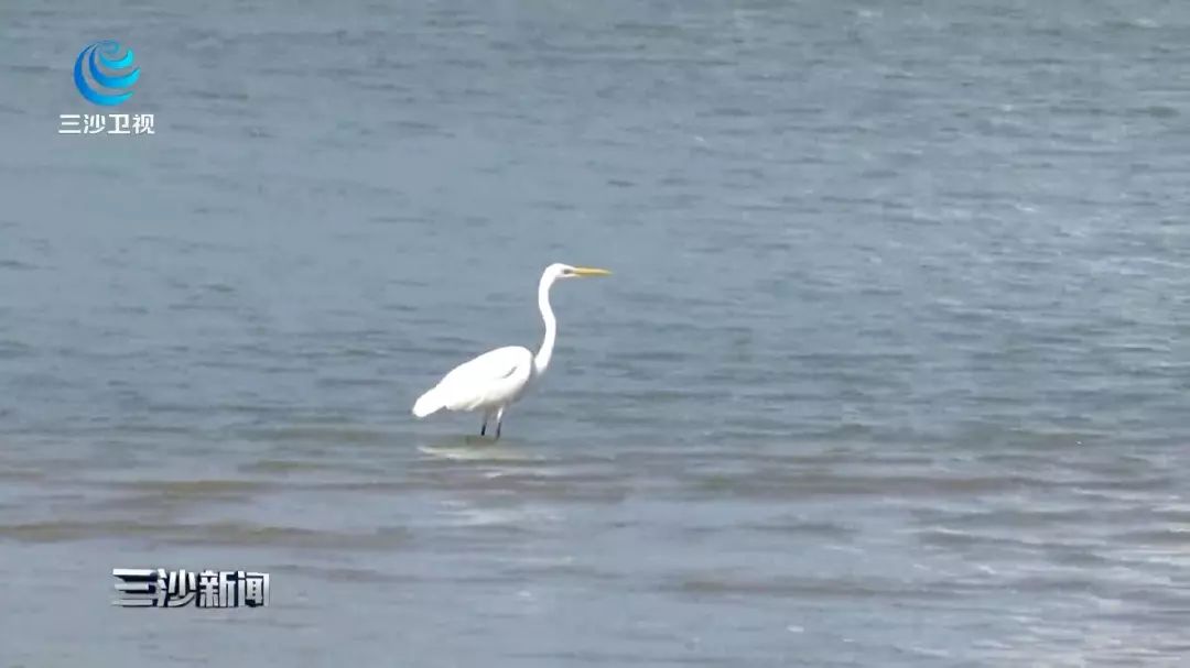 天涯印象创作的原声,天涯印象的主页