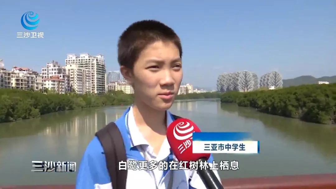 天涯印象创作的原声,天涯印象的主页