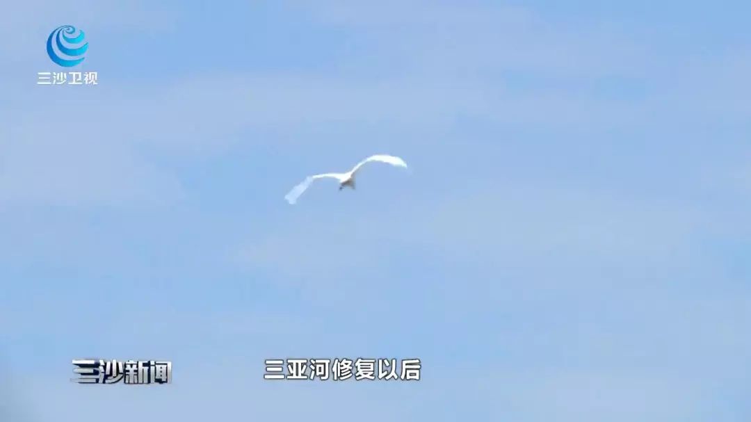 天涯印象创作的原声,天涯印象的主页