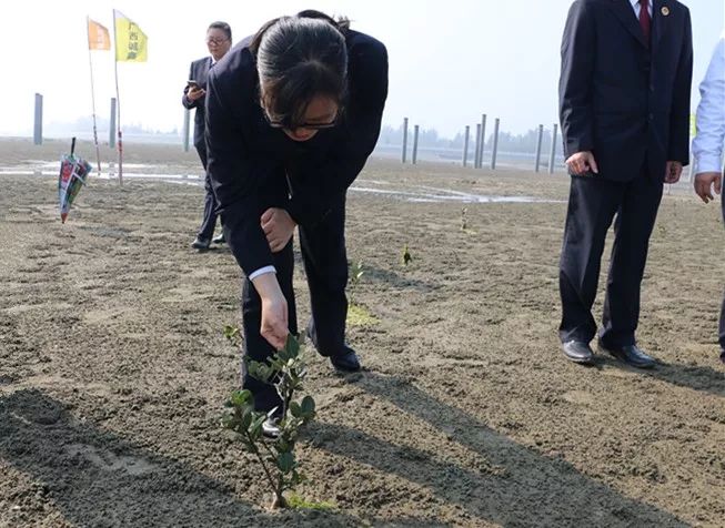 「今日我当班」山心沙岛迎来一片检察蓝