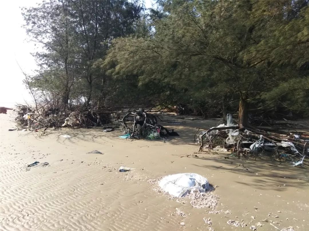 「今日我当班」山心沙岛迎来一片检察蓝