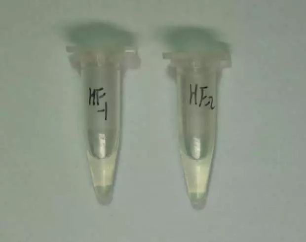 国家禁毒的基本知识,关于国家毒品方面的知识