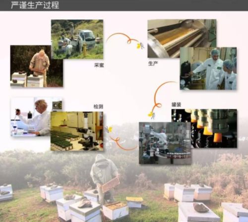 央视都推荐的新西兰国宝，1秒润喉，不咳嗽，口腔问题都好啦