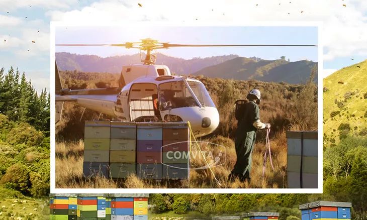 央视都推荐的新西兰国宝，1秒润喉，不咳嗽，口腔问题都好啦