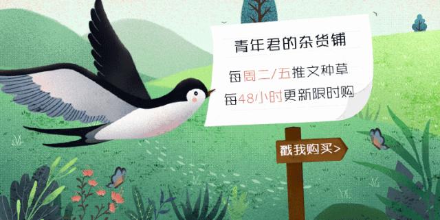 鍐板窛绁炵ぞ缁撶紭,鍐板窛绁炵ぞ鐑熻姳寰″畧