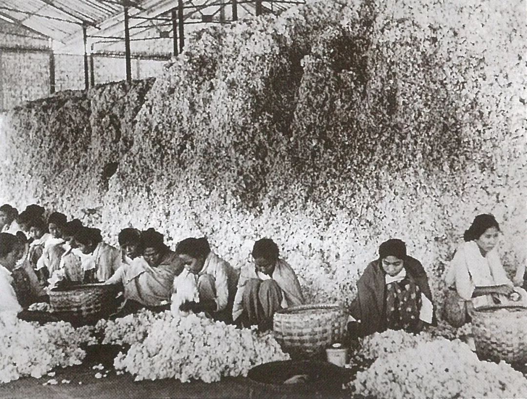 透支信用卡的女孩子,透支买奢侈品的女人