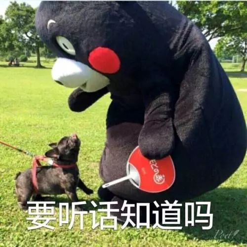 被狗咬了不能及时去医院怎么办,被狗咬了去哪个医院打针