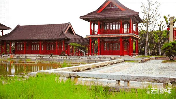 吵翻了!魔都16区终于正面PK!哪个是你心中的C位担当?