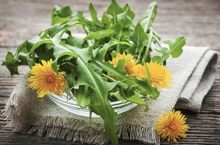 五种健康野菜常食养生,春天必吃的10大黄金野菜