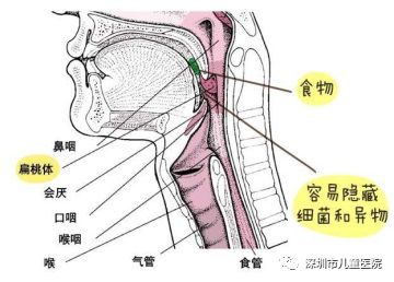 孩子有口臭怎么办最有效的办法,小孩口臭怎么解决有效方法