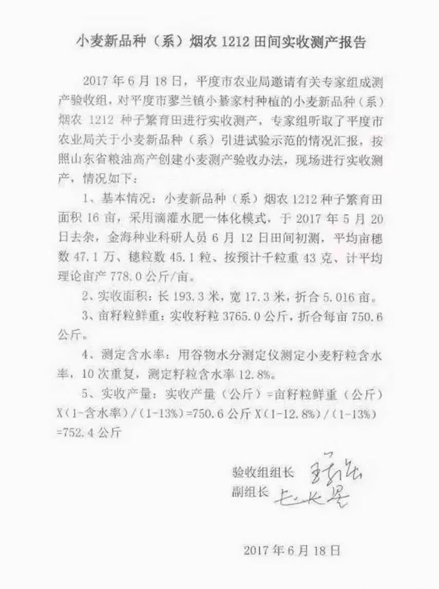 玉米种子农科系列,玉米种子农业