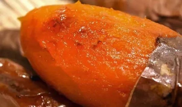 玉米种子农科系列,玉米种子农业