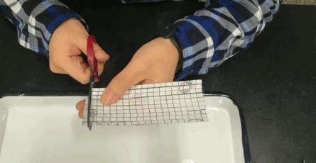 补作业的你分身乏术？那你可能需要这份“分身术”秘籍｜正经玩