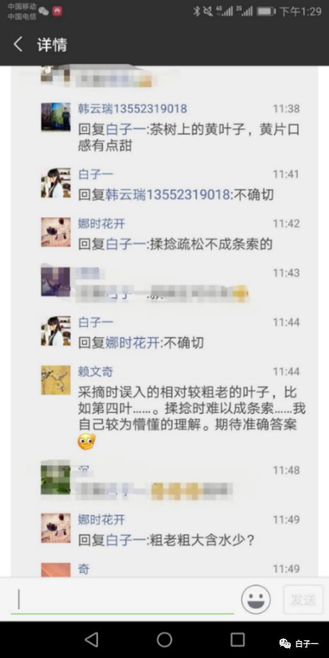 「子一茶课堂」茶里的黄片到底是什么？