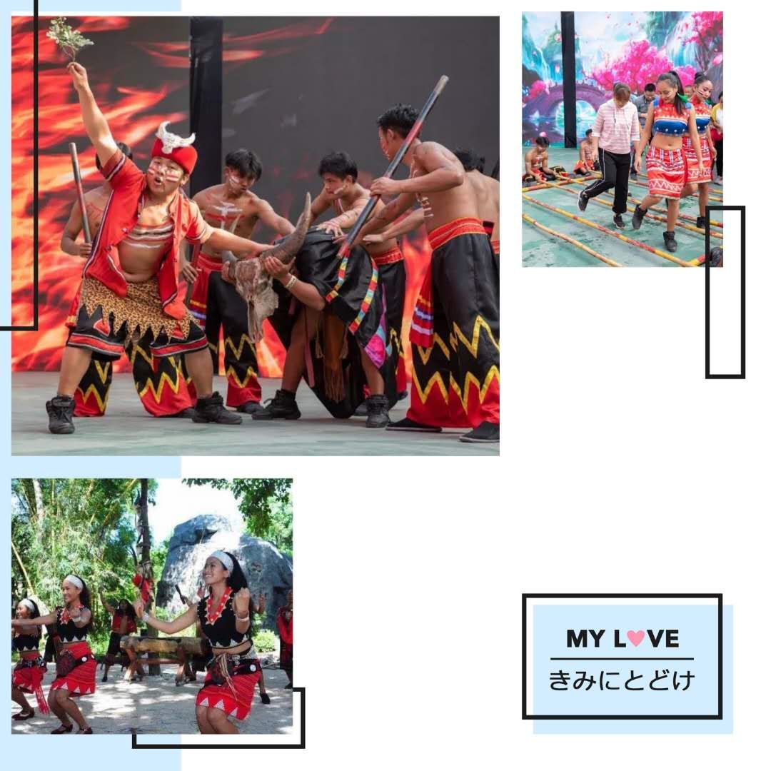 樱花季又来啦,樱花季来啦