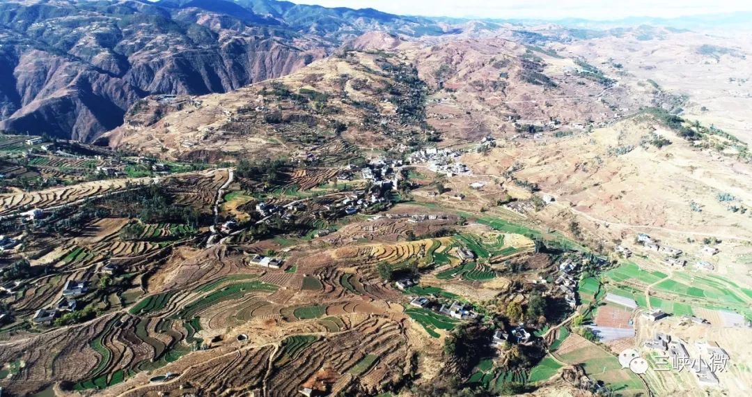 移民工作经典语录,移民心声的真实感受