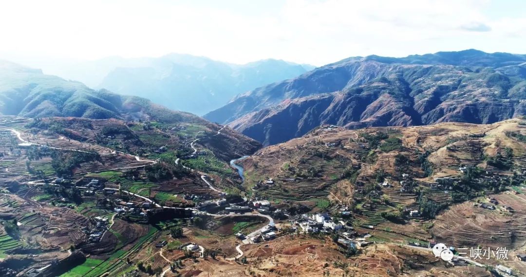 移民工作经典语录,移民心声的真实感受