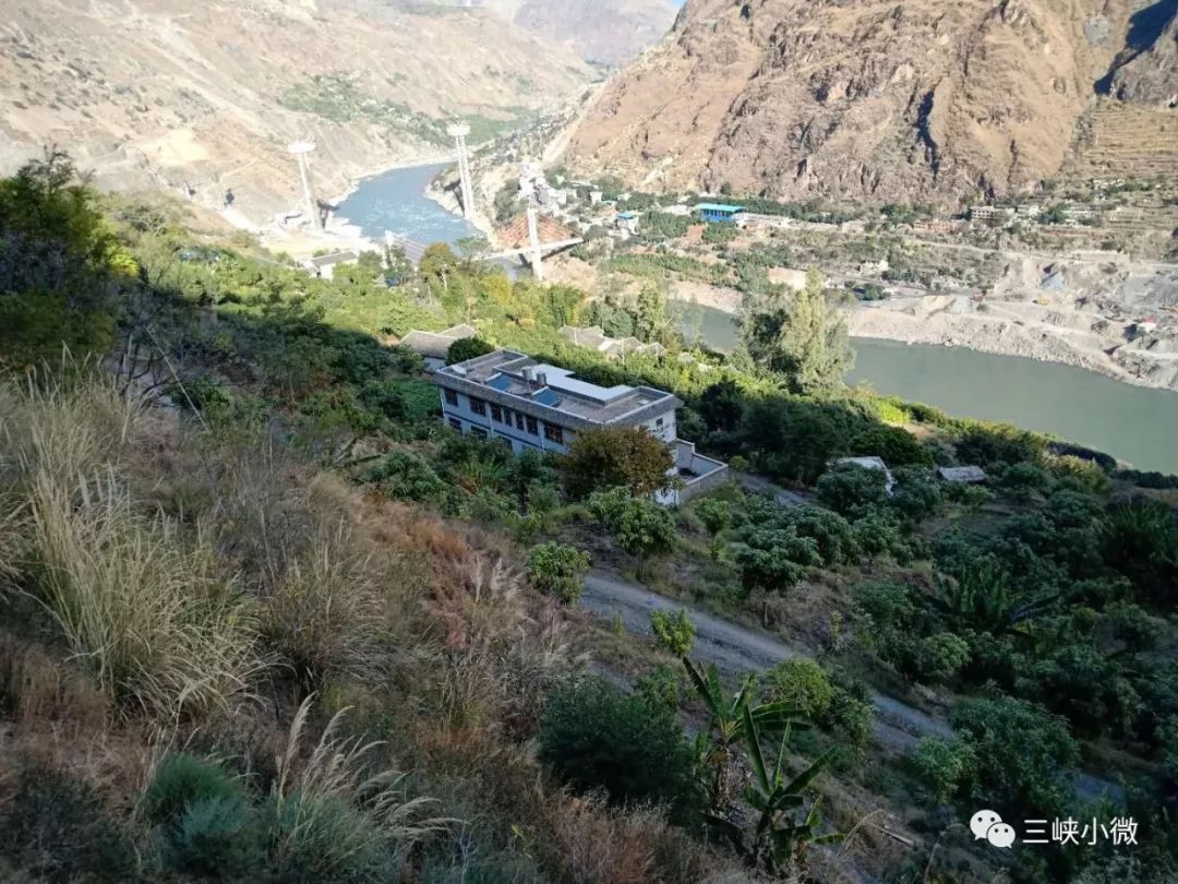 移民工作经典语录,移民心声的真实感受