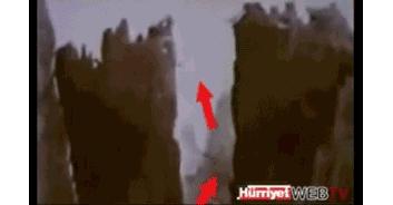 作为内蒙人，山羊这么牛的生物，竟然不了解？