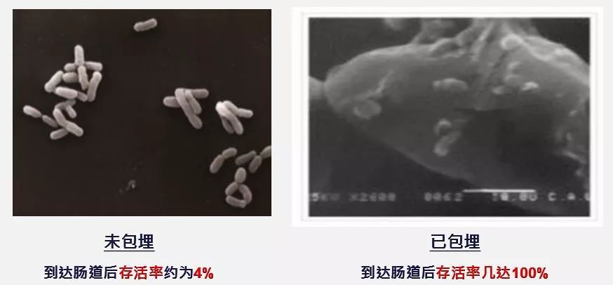 万病始于肠！每天1杯，轻松排肠毒，便秘、口臭、肚腩都没了！