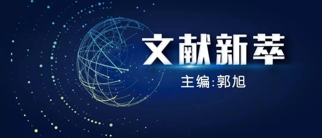 文献新萃·第六期|血管内治疗对大梗死核心患者是杯水车薪还是救命稻草？