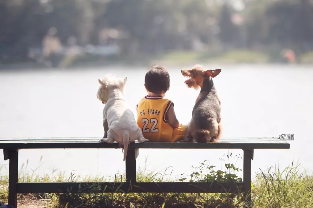 被狗舔了一下会感染狂犬病吗,伤口流血了被狗舔会得狂犬病吗