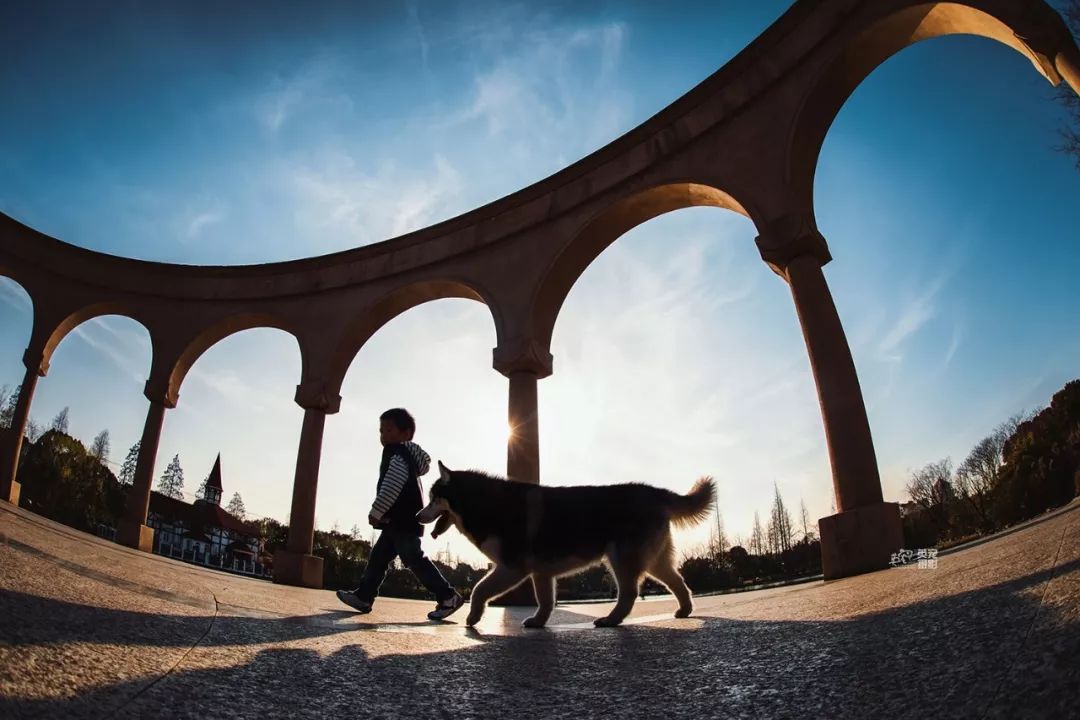 被狗舔了一下会感染狂犬病吗,伤口流血了被狗舔会得狂犬病吗