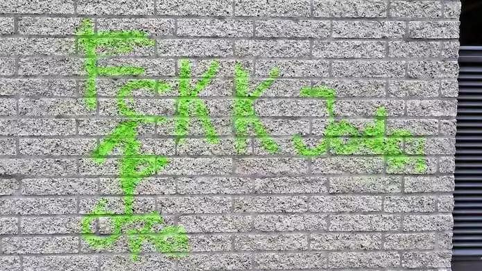 阿姆斯特丹冲突,球迷冲突蔓延荷兰