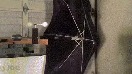 夏日必备好物太阳伞,夏日必备防晒小金伞推荐