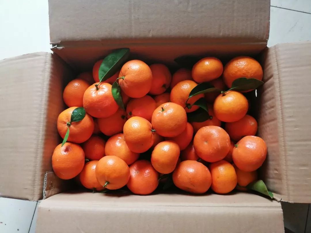 嘿！同学，你的行李箱怎么这么沉？装了啥？