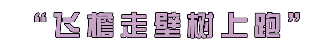 作为内蒙人，山羊这么牛的生物，竟然不了解？