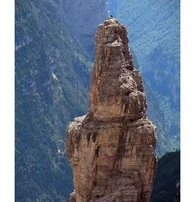 作为内蒙人，山羊这么牛的生物，竟然不了解？